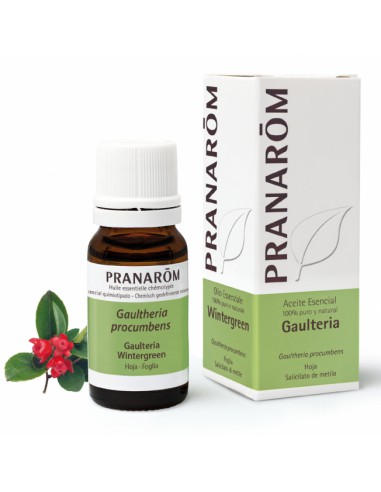 PRANAROM AE GAULTERIA 10ML(COFARES ABEÑULA)